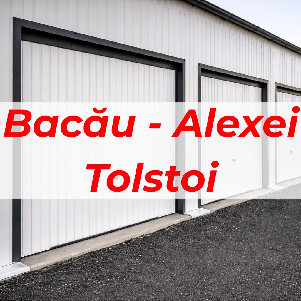 AVA Depot Bacău - Alexei Tolstoi - spații de depozitare