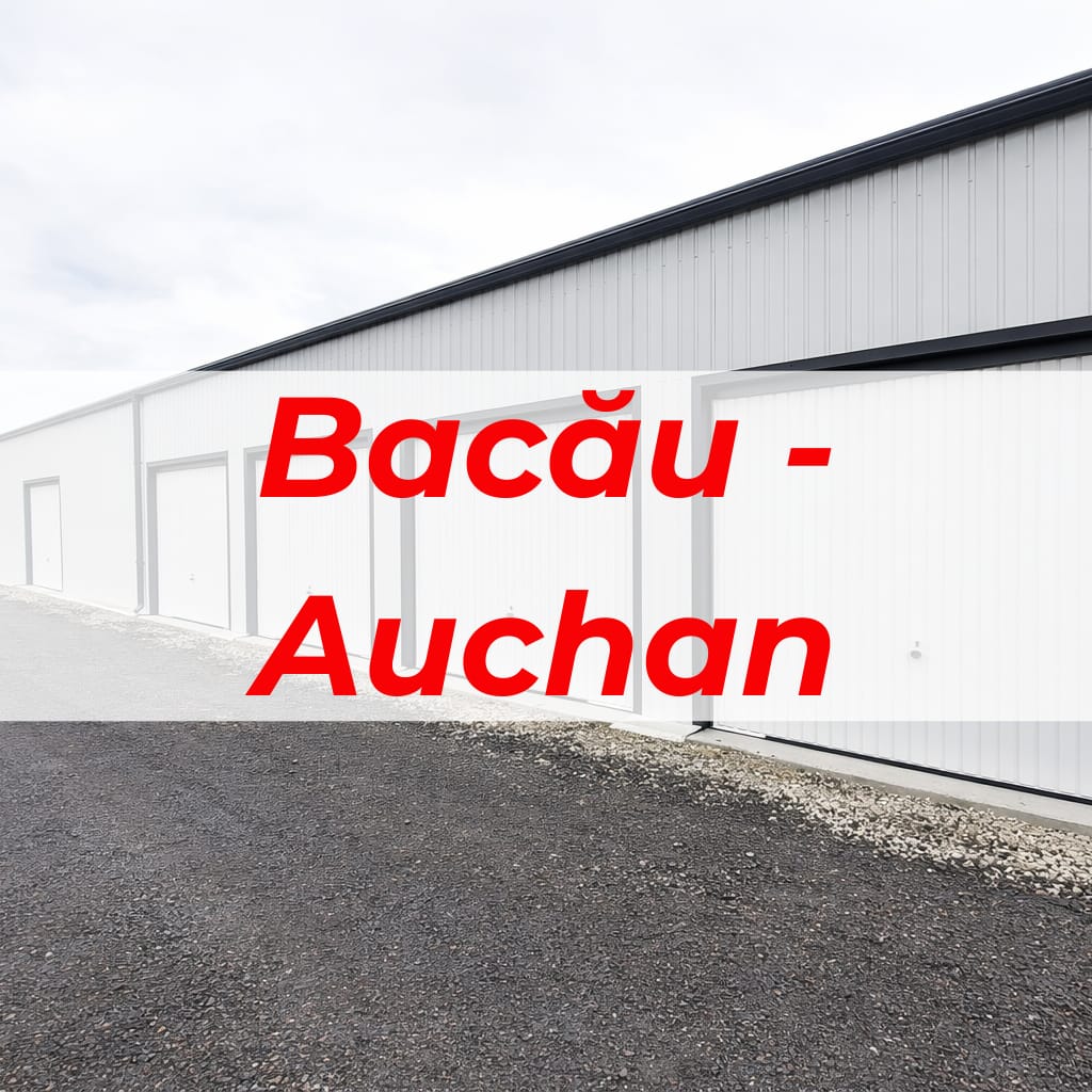 AVA Depot Bacau - Auchan