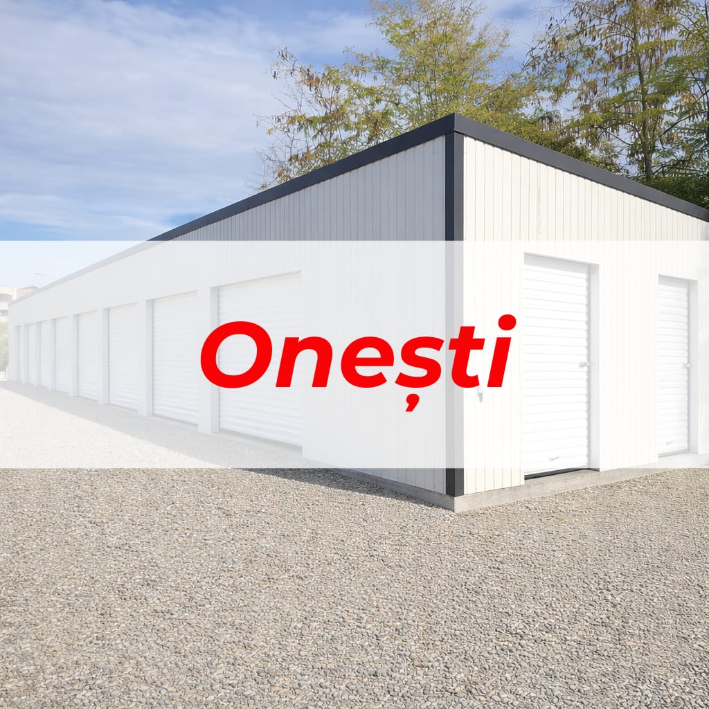 AVA Depot Onești - spații de depozitare