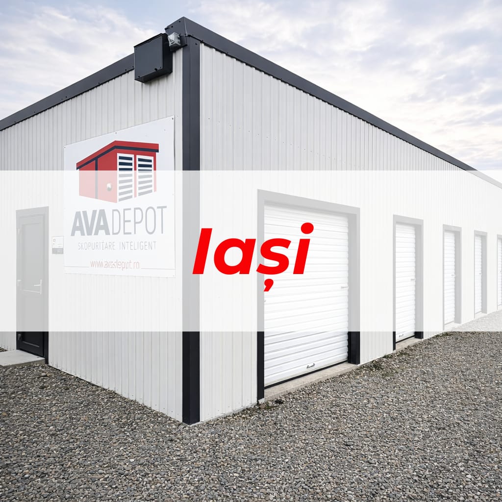 AVA Depot Iași - Zona Zeelandia - spații de depozitare